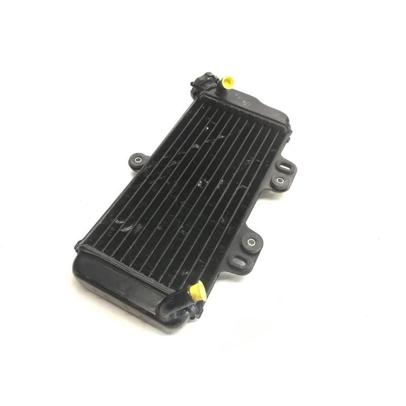 Radiateur eau YAMAHA TDR 125 1997-2003