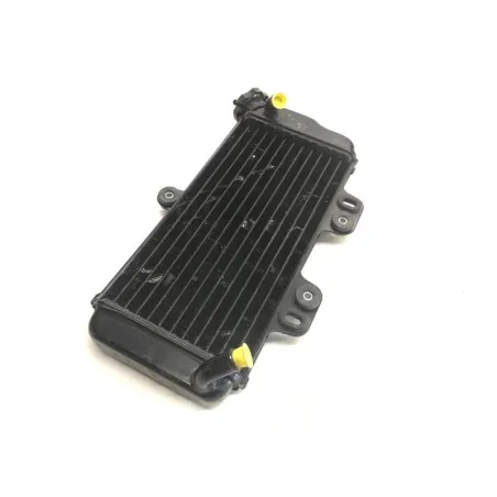Radiateur eau YAMAHA TDR 125 1997-2003