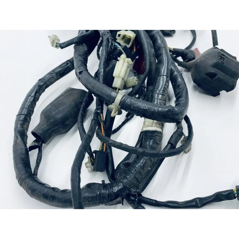 Faisceau electrique HONDA FES 125 2003-2006 PANTHEON