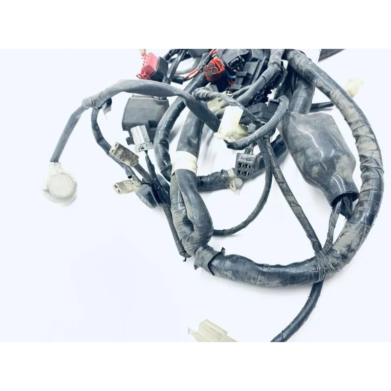 Faisceau electrique HONDA FES 125 2003-2006 PANTHEON