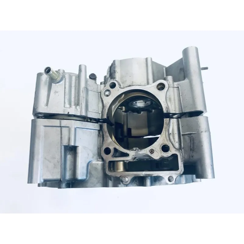 Carter moteur SUZUKI DL 650 2004-2006 VSTROM