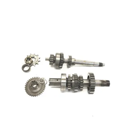 Boite de vitesses SUZUKI TS 50 ER 1981-1985 AUTO ER21