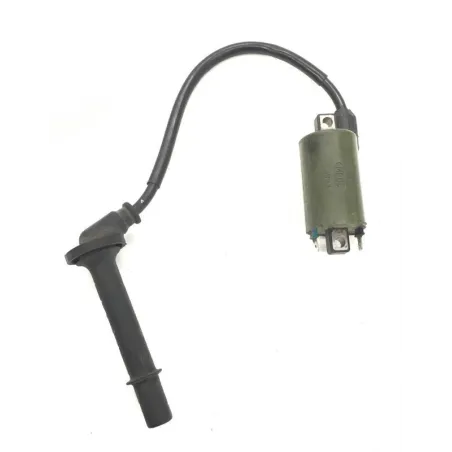 Bobine allumage HONDA VFR 800 FI 2000-2001