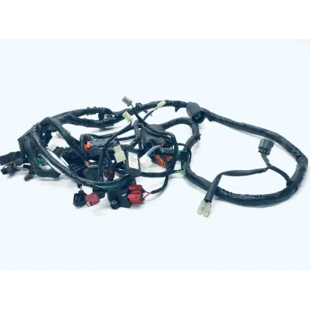 Faisceau electrique HONDA FES 125 2007-2013 S-WING