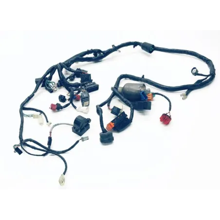 Faisceau electrique HONDA FES 125 2007-2013 S-WING