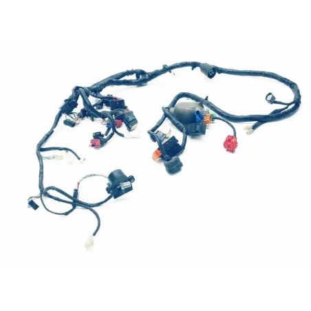 Faisceau electrique HONDA FES 125 2007-2013 S-WING