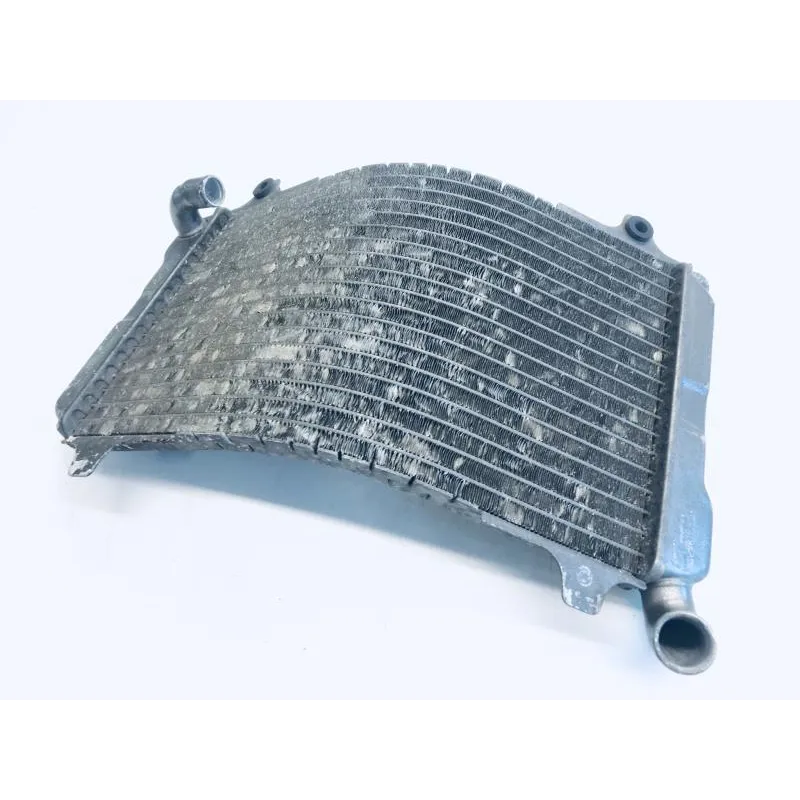 Radiateur eau SUZUKI TV 250 1988-1990 WOLF