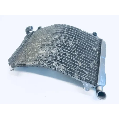 Radiateur eau SUZUKI TV 250 1988-1990 WOLF