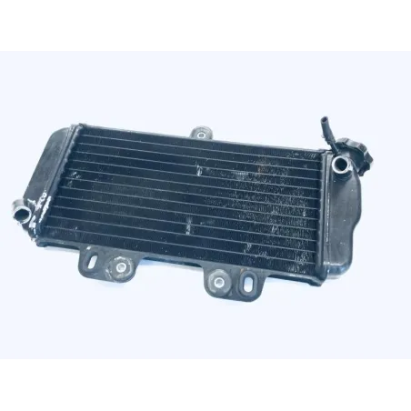 Radiateur eau YAMAHA TDR 125 1997-2003