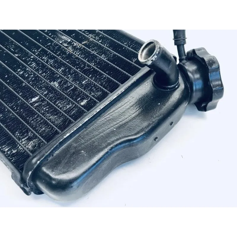 Radiateur eau YAMAHA TDR 125 1997-2003