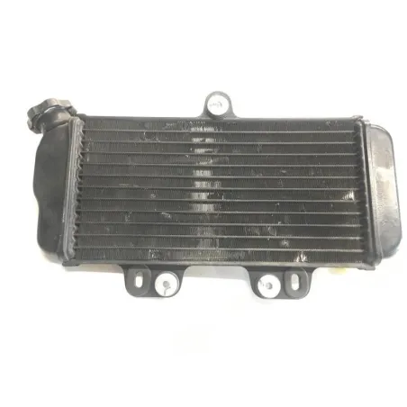Radiateur eau YAMAHA TDR 125 1997-2003
