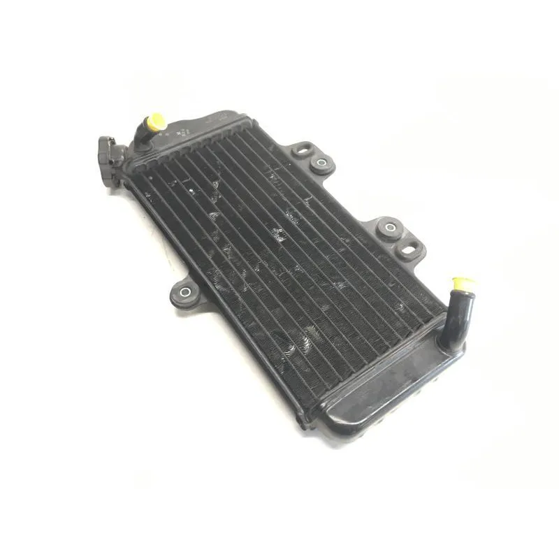 Radiateur eau YAMAHA TDR 125 1997-2003