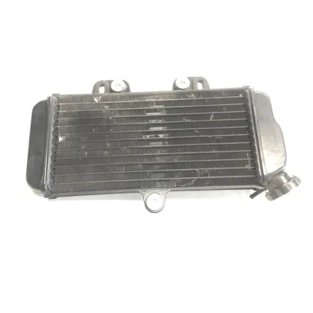 Radiateur eau YAMAHA TDR 125 1997-2003