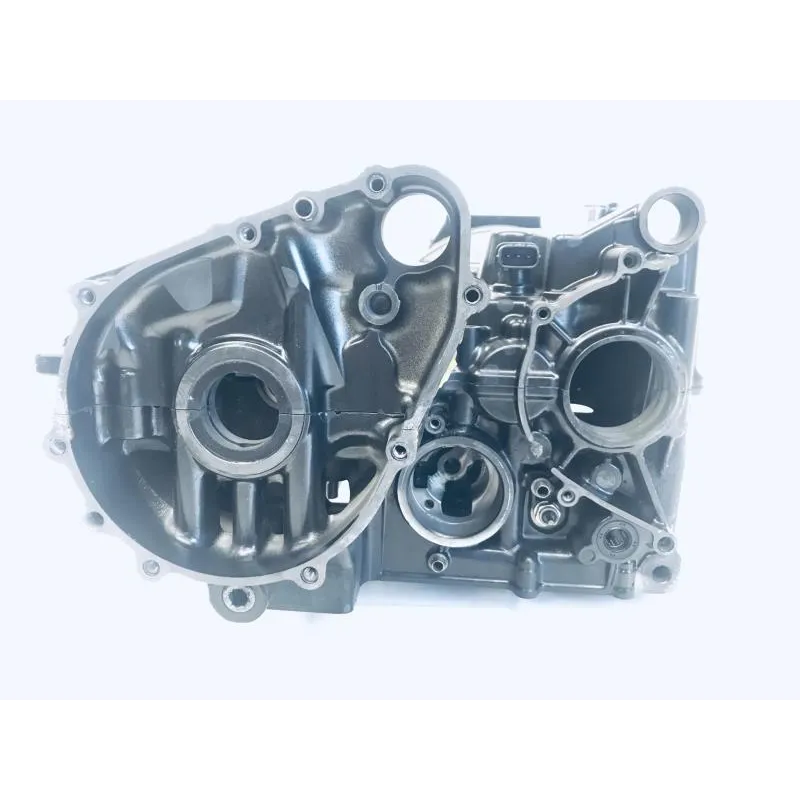 Carter moteur KAWASAKI Z 1000 2007-2009