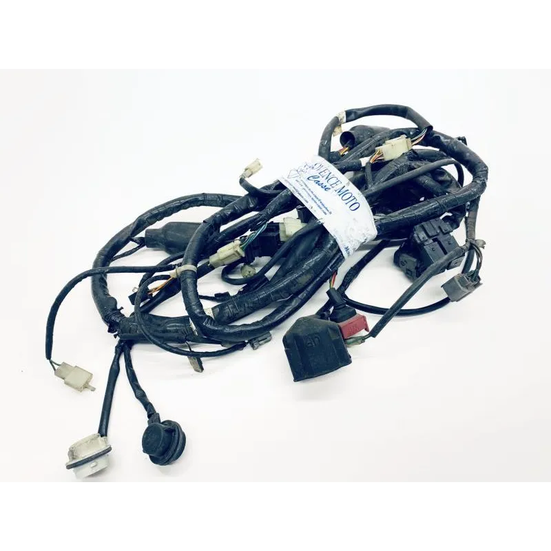 Faisceau electrique HONDA FES 125 2003-2006 PANTHEON