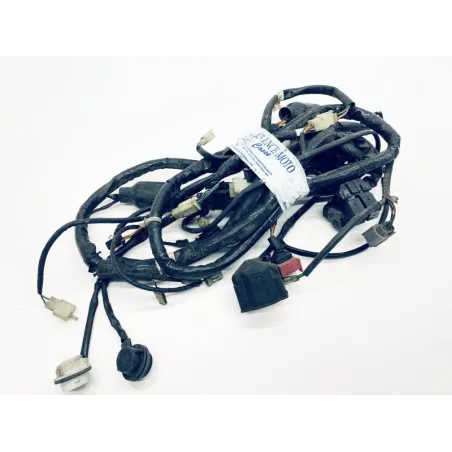 Faisceau electrique HONDA FES 125 2003-2006 PANTHEON