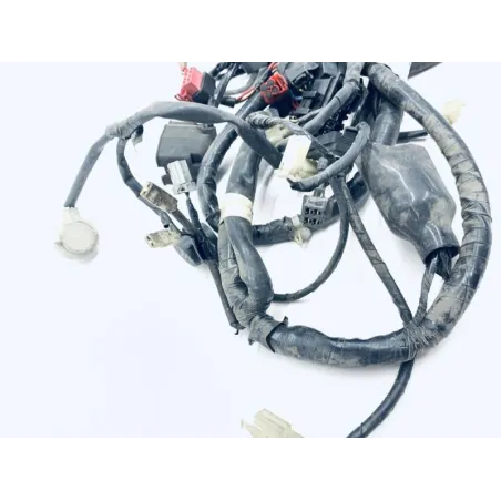 Faisceau electrique HONDA FES 125 2003-2006 PANTHEON