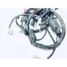 Faisceau electrique HONDA FES 125 2003-2006 PANTHEON Faisceau electrique HONDA FES 125 2003-2006 PANTHEON