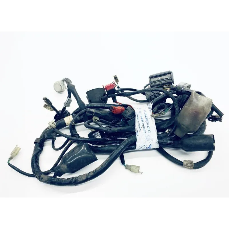 Faisceau electrique HONDA FES 125 2003-2006 PANTHEON
