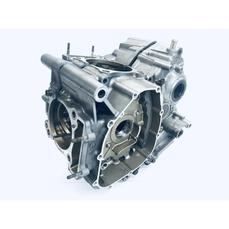 Carter moteur SUZUKI DL 650 2004-2006 VSTROM