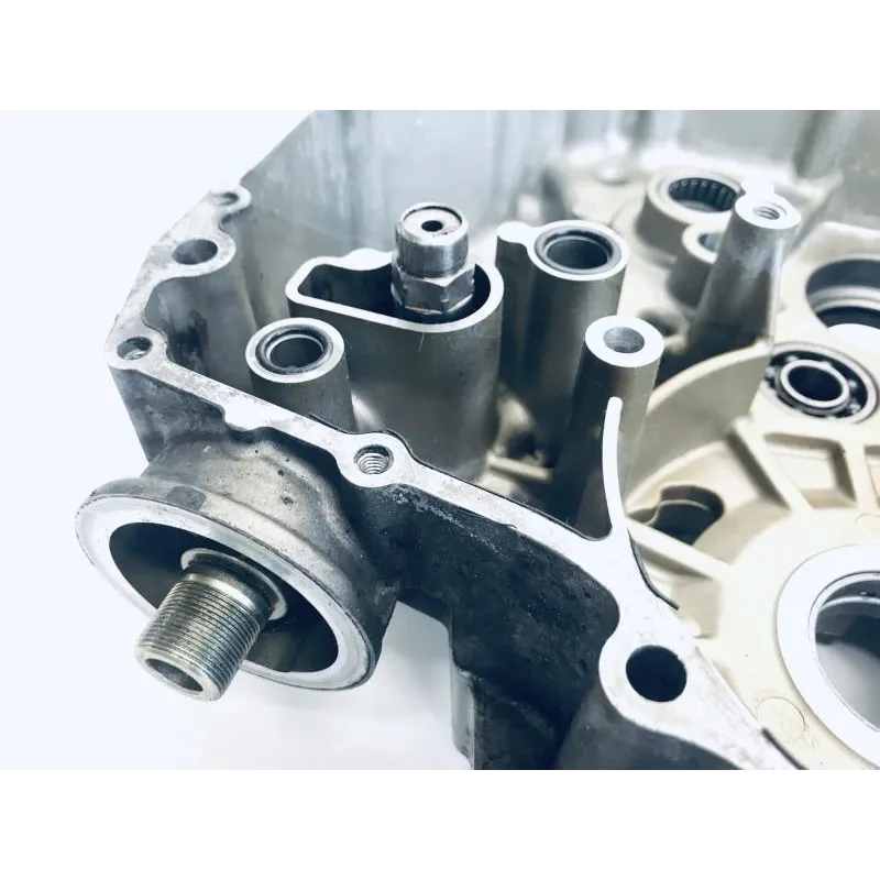 Carter moteur SUZUKI DL 650 2004-2006 VSTROM