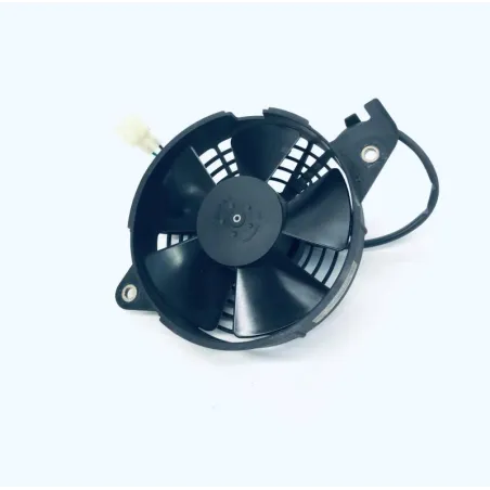 Ventilateur HONDA FES 125 2007-2013 S-WING