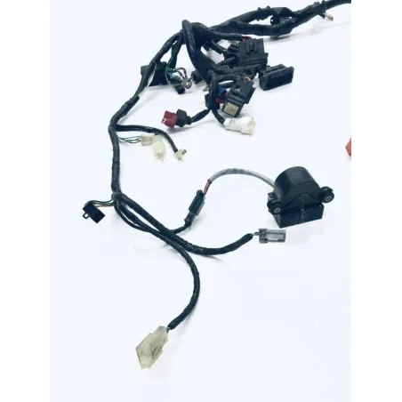 Faisceau electrique HONDA FES 125 2007-2013 S-WING