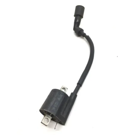 Bobine allumage YAMAHA YP 125 2003-2006 MAJESTY