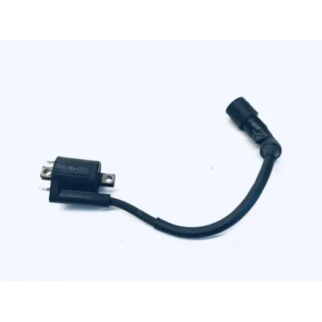 Bobine allumage YAMAHA YPR 125 2010-2013 XMAX
