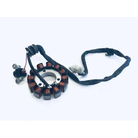 Stator alternateur YAMAHA CZD 300 2017-2019 XMAX