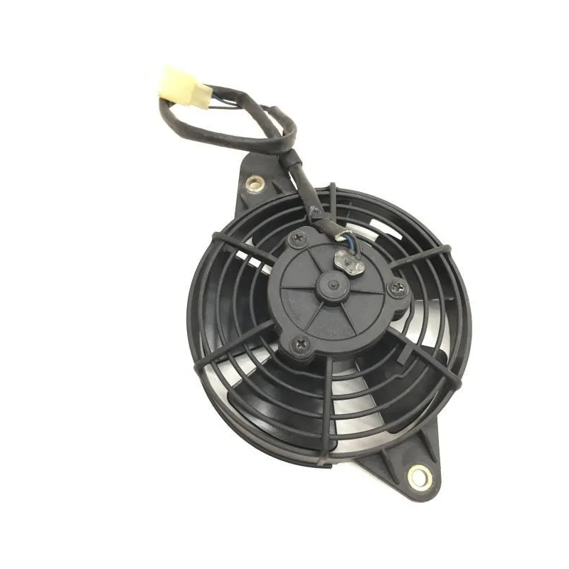 Ventilateur HONDA FES 125 2003-2006 PANTHEON
