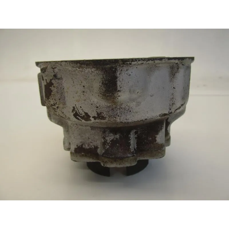 Cylindre Minarelli RIEJU RR 50 1996-1998