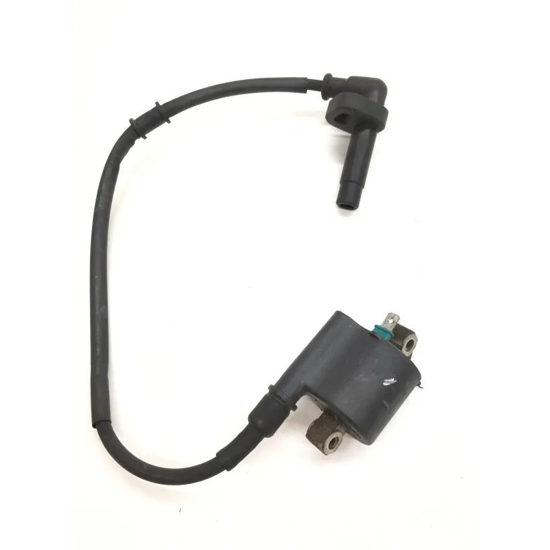 Bobine allumage HONDA NSS 250 2008-2009 FORZA