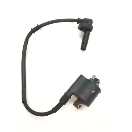 Bobine allumage HONDA NSS 250 2008-2009 FORZA