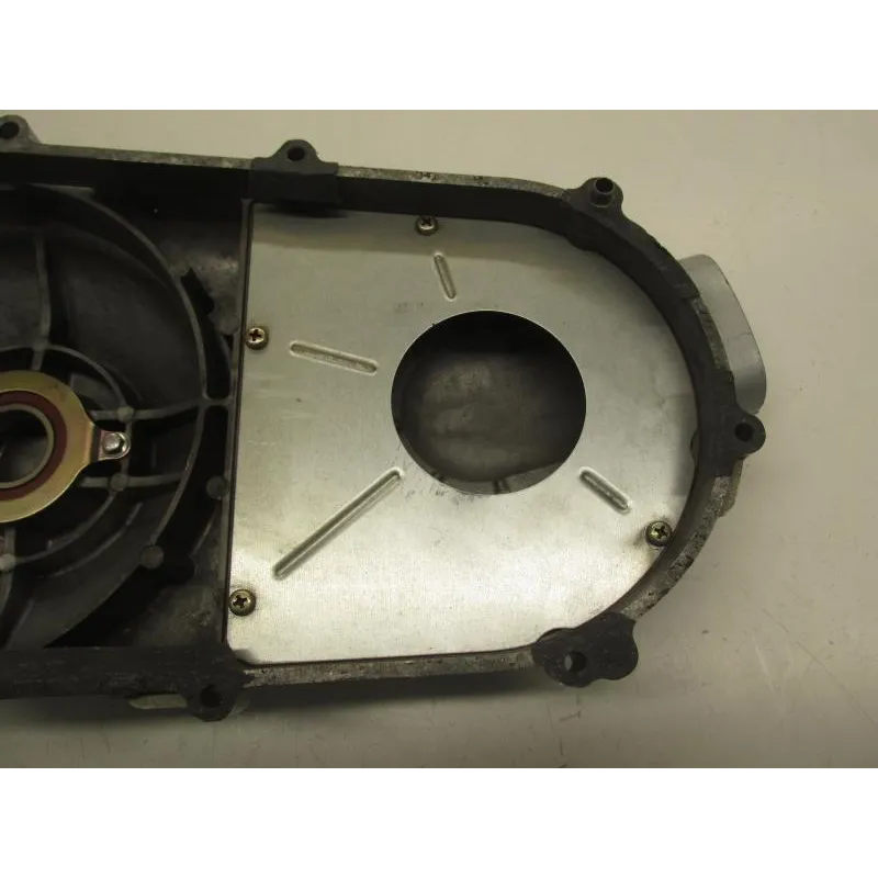 Carter moteur SYM QUADLANDER 250 2006-2007
