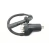 Bobine allumage SUZUKI SV 650 1999-2002 Bobine allumage SUZUKI SV 650 1999-2002