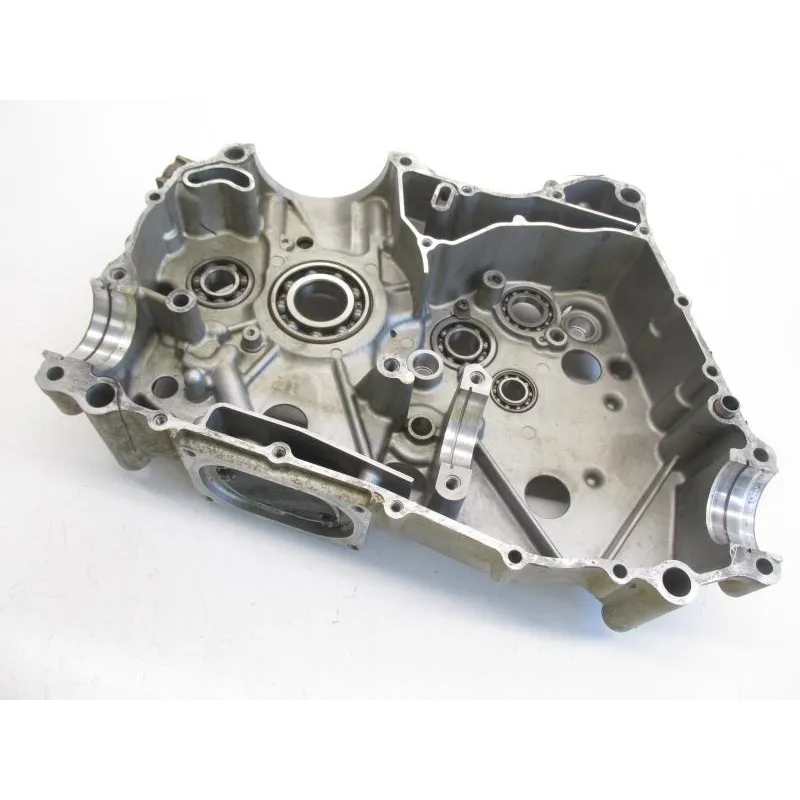 Carter moteur SUZUKI LTA 400 F 2008-2010 KINGQUAD