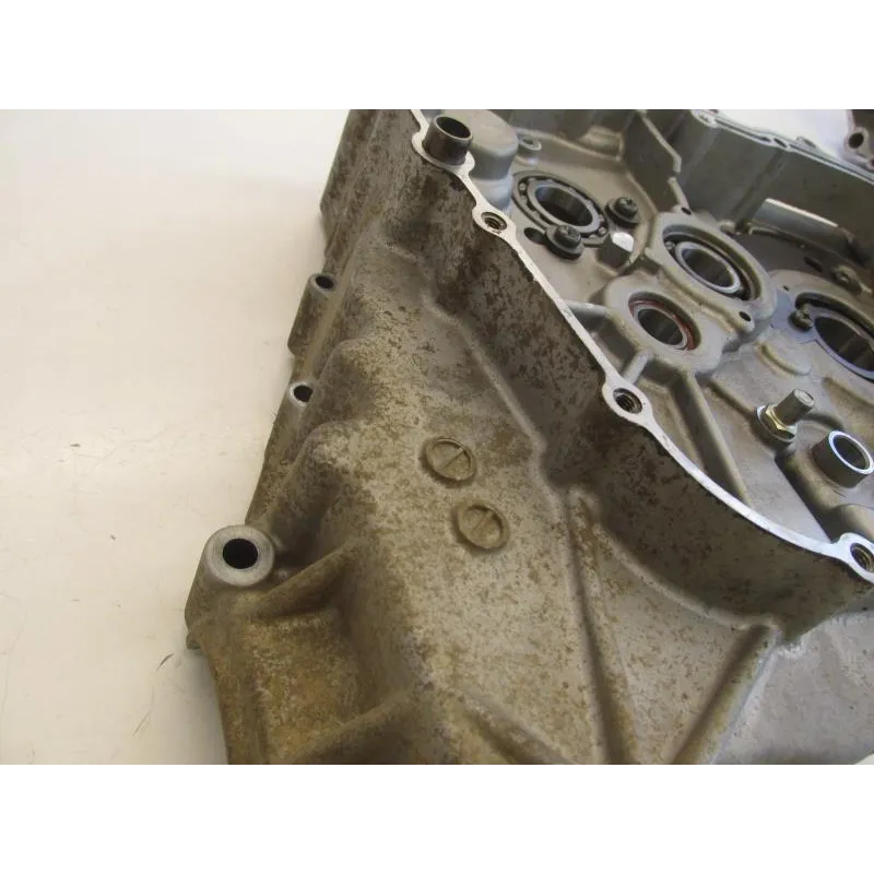 Carter moteur SUZUKI LTA 400 F 2008-2010 KINGQUAD