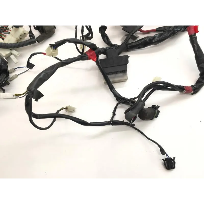 Faisceau electrique PIAGGIO BEVERLY 125 2007-2008 EURO 3