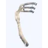 Collecteur (echappement) TRIUMPH SPRINT RS 955I 1999-2001 Collecteur (echappement) TRIUMPH SPRINT RS 955I 1999-2001
