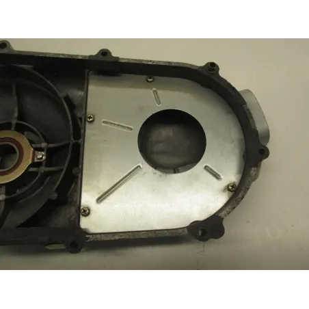 Carter moteur SYM QUADLANDER 250 2006-2007