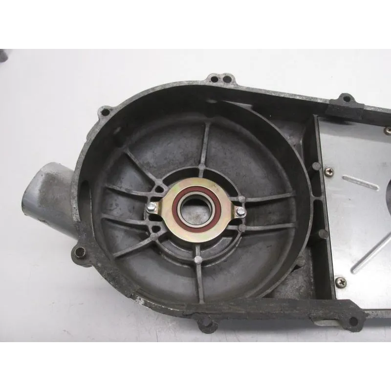 Carter moteur SYM QUADLANDER 250 2006-2007