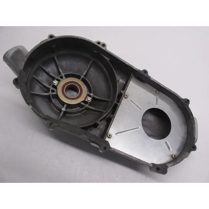 Carter moteur SYM QUADLANDER 250 2006-2007