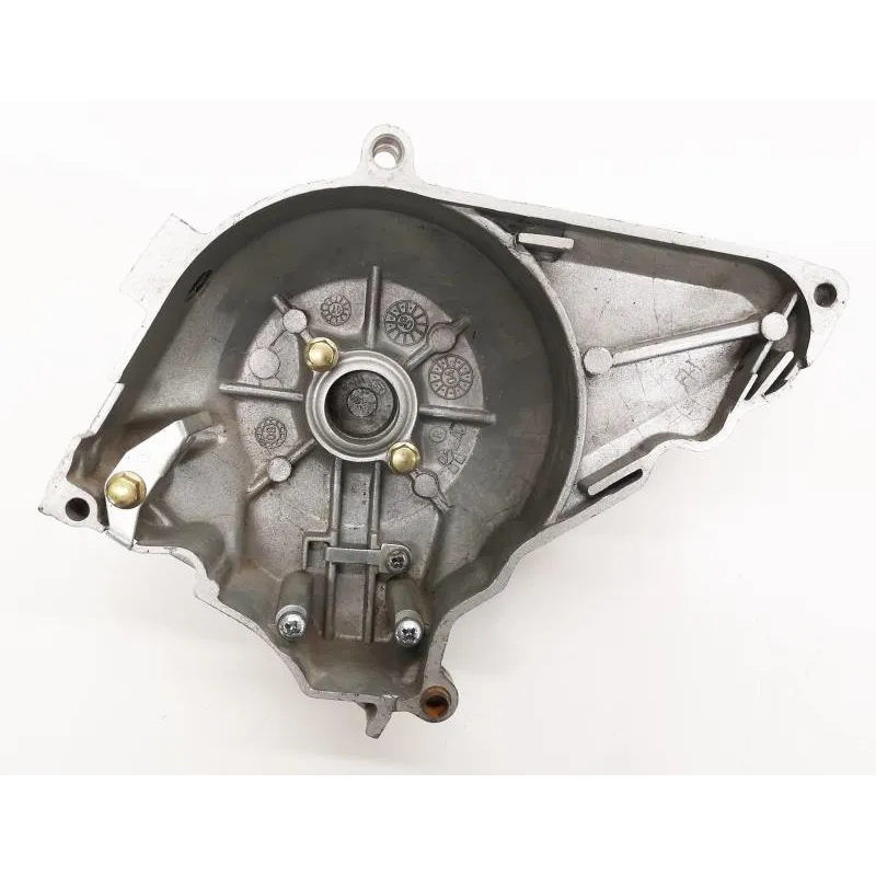 Carter allumage SKYTEAM T-REX 125 2009-2020