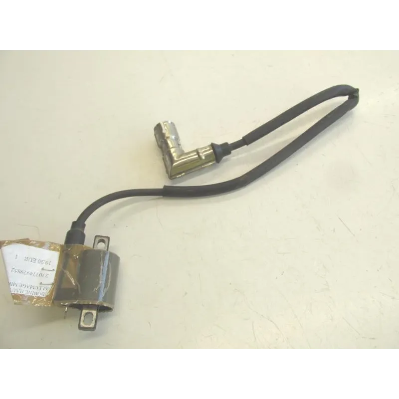 Bobine allumage MIKILON FRV 250 2010