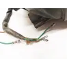 Feu arriere HONDA MBX 80 1983-1987 Feu arriere HONDA MBX 80 1983-1987