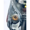 Reservoir HONDA MTX 200 R 1983-1986 Reservoir HONDA MTX 200 R 1983-1986