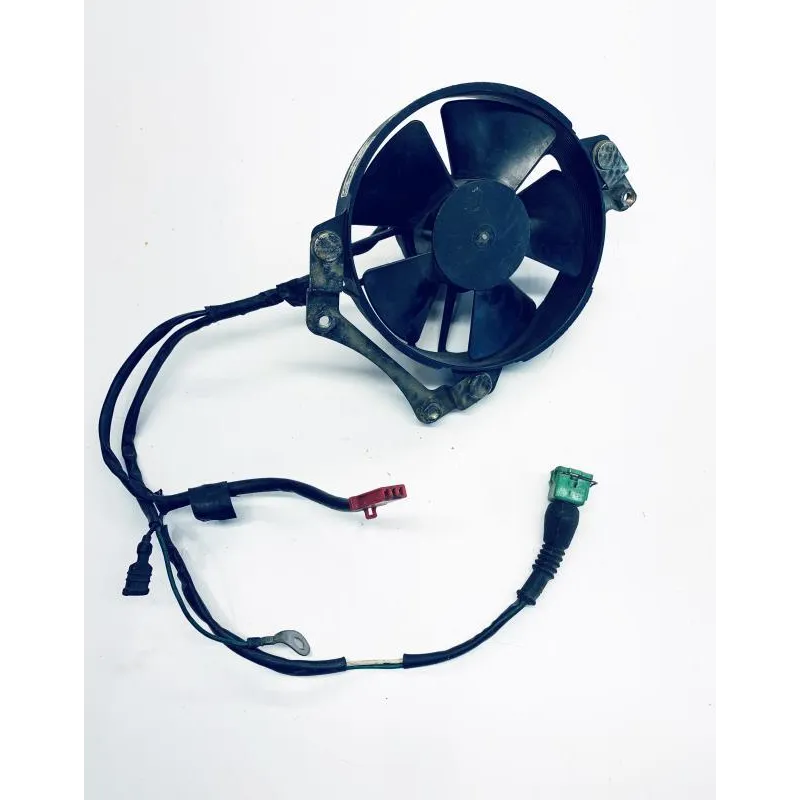 Ventilateur HONDA FES 150 1998-2001 PANTHEON
