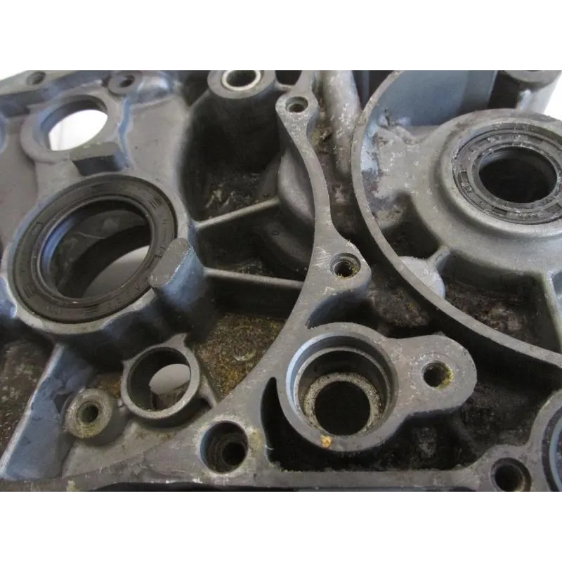 Carter moteur SKYTEAM V-RAPTOR 125 2009-2015
