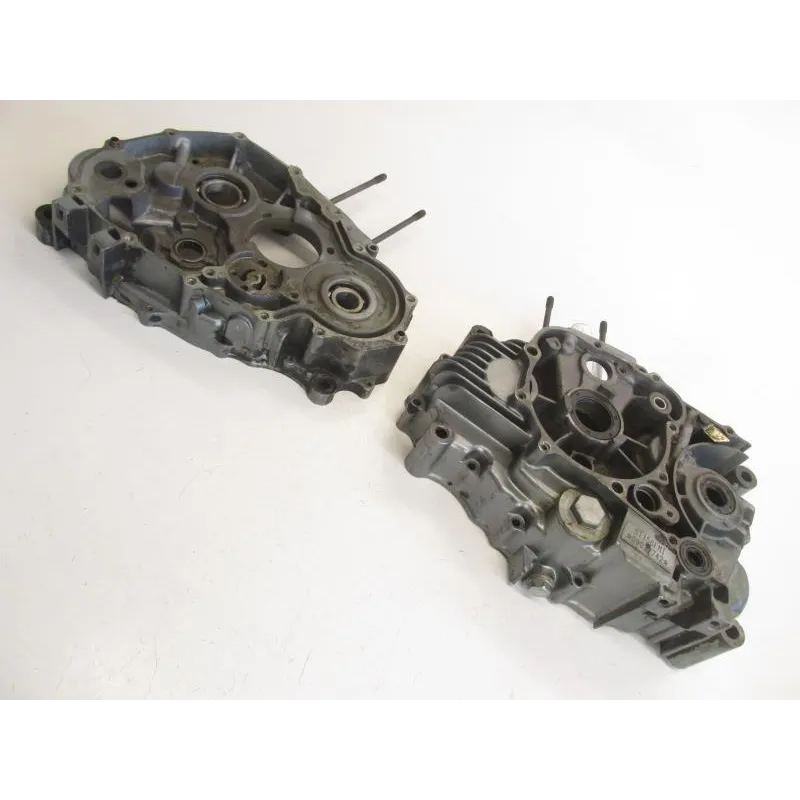 Carter moteur SKYTEAM V-RAPTOR 125 2009-2015